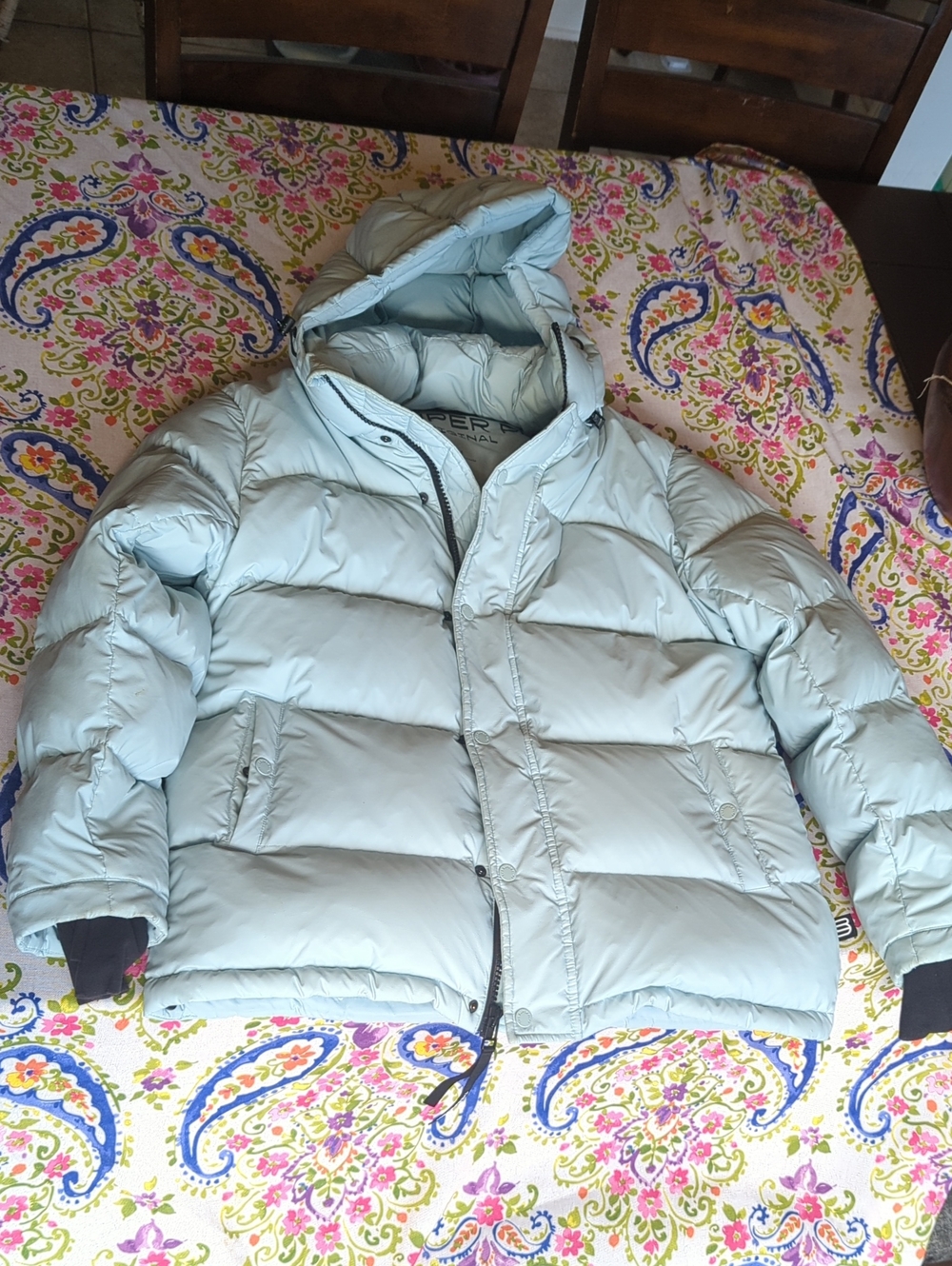 Aritzia Pale Blue Hooded Puffer Jacket